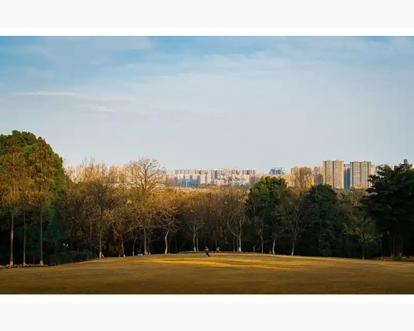 MT4平仓后订单注释无法修改的真相与替代方案_说说我踩过的那些坑