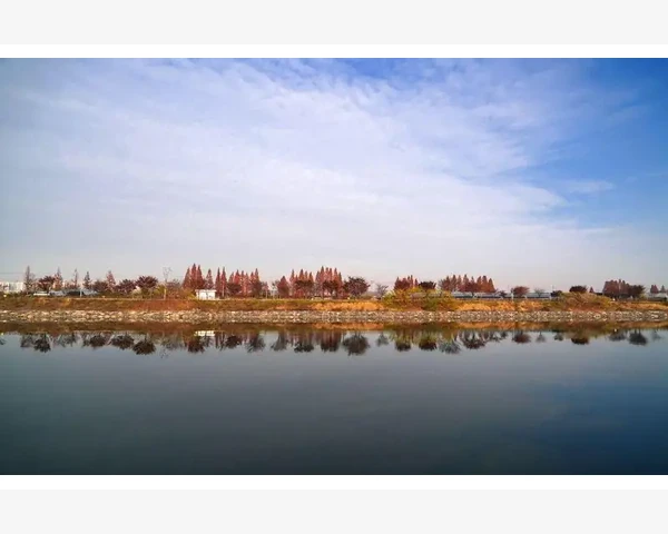 B2B展会活动让商家获客更高效_看懂速度等级别被字母忽悠