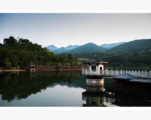MT4图表背景能否导入自定义图片的真相_调整市场报价窗口与交易品种显示