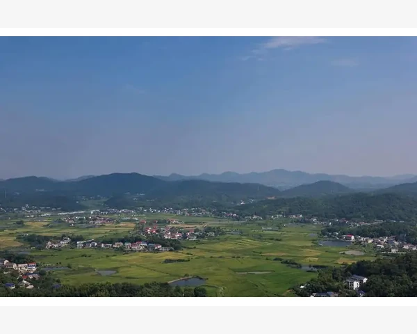 MT4双均线加MACD捕捉趋势转向的实用方法_利用模板和默认设置减少重复操作