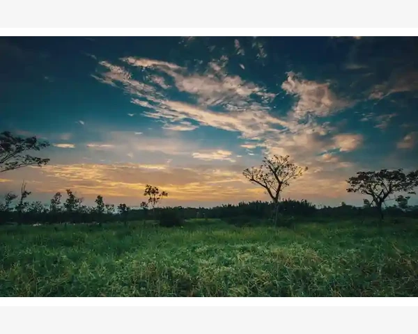 静碾压路机操作要点与日常养护技巧_静碾压路机操作要点与日常养护技巧