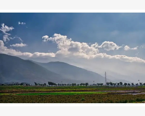 凸轮常见故障与应对策略_B2B销售日常运作与核心要点