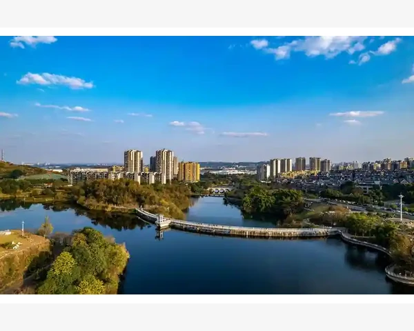 MT4交易持仓时间查看方法快学快用_遗传算法的核心逻辑与执行流程