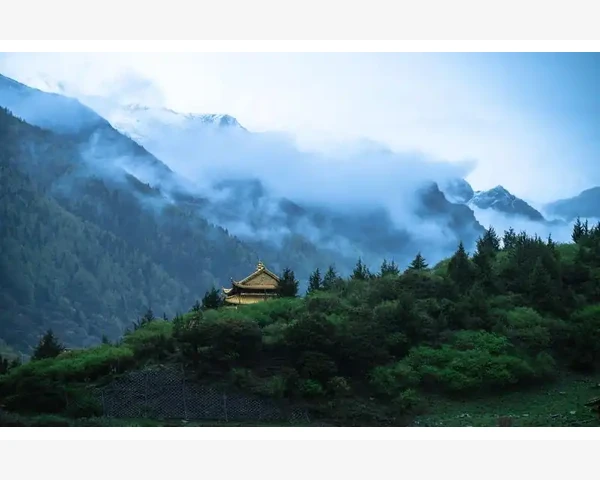 全球B2B跨境电商平台排行榜_别只盯着付费广告，内容运营才是王道