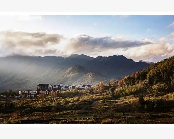 阿里B2B私有化重构企业采购新生态_阿里B2B私有化重构企业采购新生态