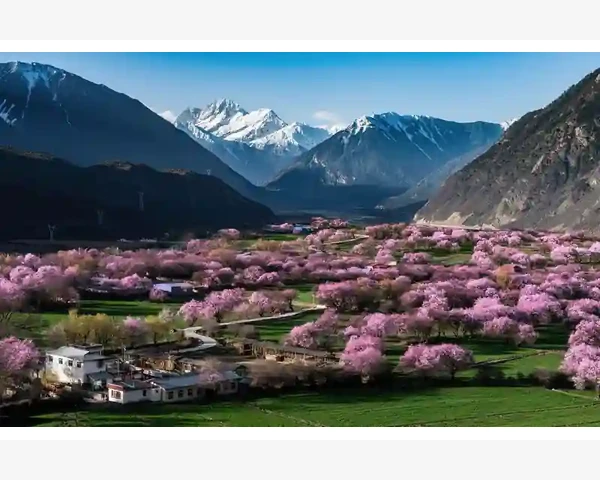 B2B信息发布兼职从入门到熟练_实操选型步骤让排名为你所用