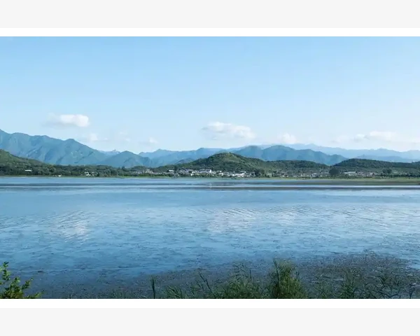 手机版MT4账户历史功能局限与完整交易报告查看方法