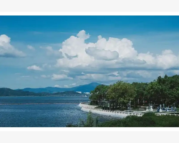 纺织业B2B平台实战运营核心要点_交易匹配效率远超传统撮合