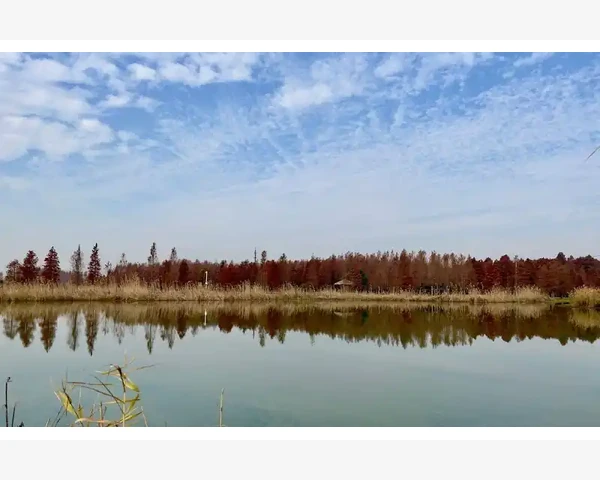 B2B客户紧急插单生产排程调整法_B2B客户紧急插单生产排程调整法